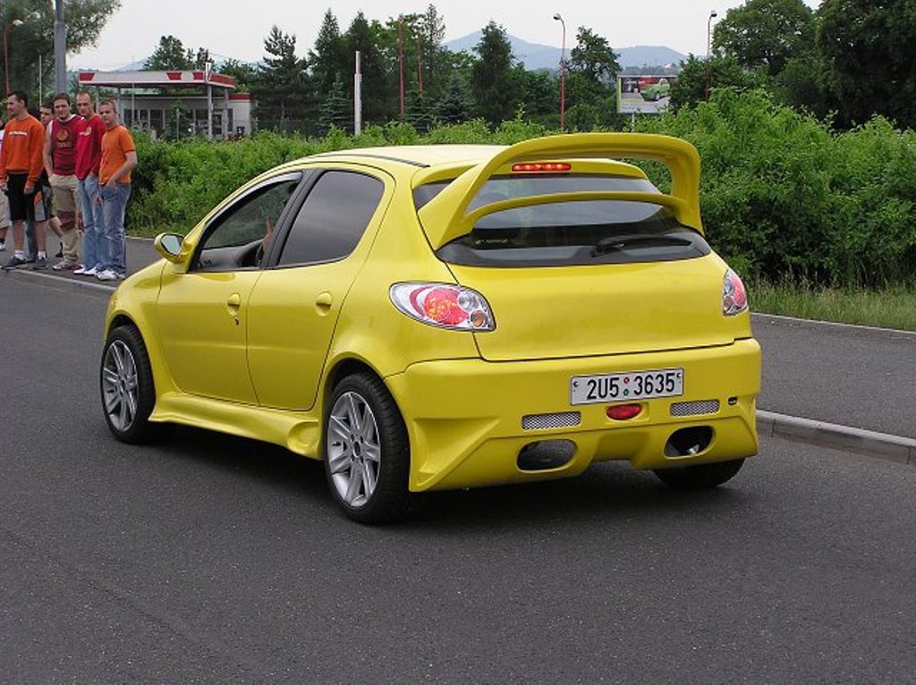 peguot 206