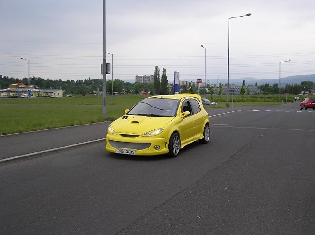 (41)peguot 206 